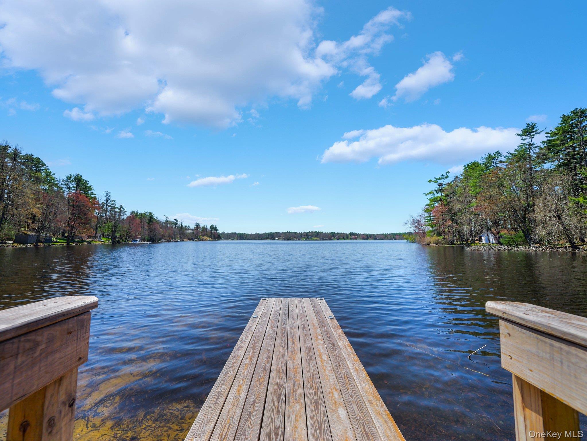 Single Family Lakeview Drive Road Sullivan County, NY 12743, MLS-975945-5