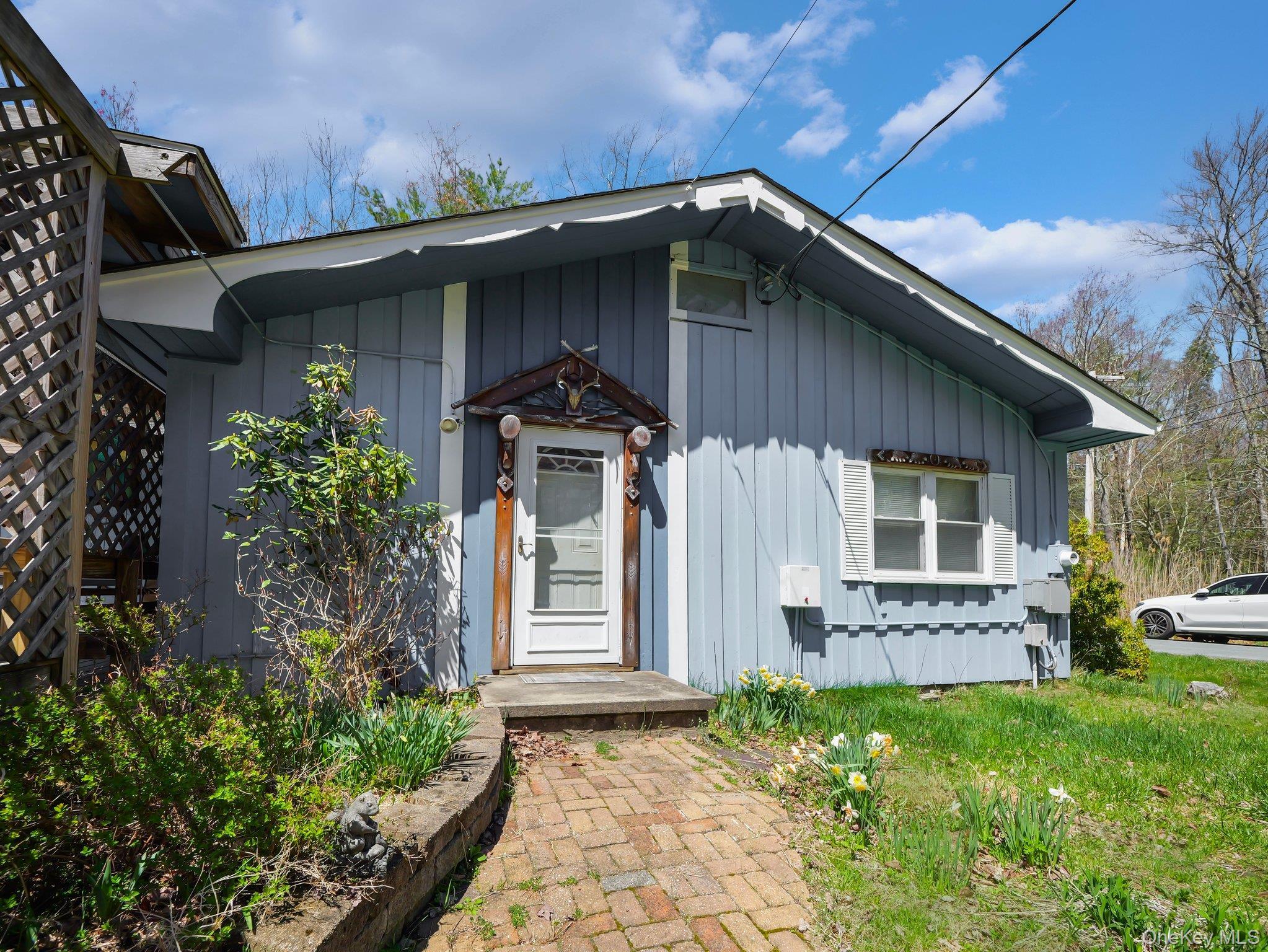 Single Family Lakeview Drive Road Sullivan County, NY 12743, MLS-975945-6