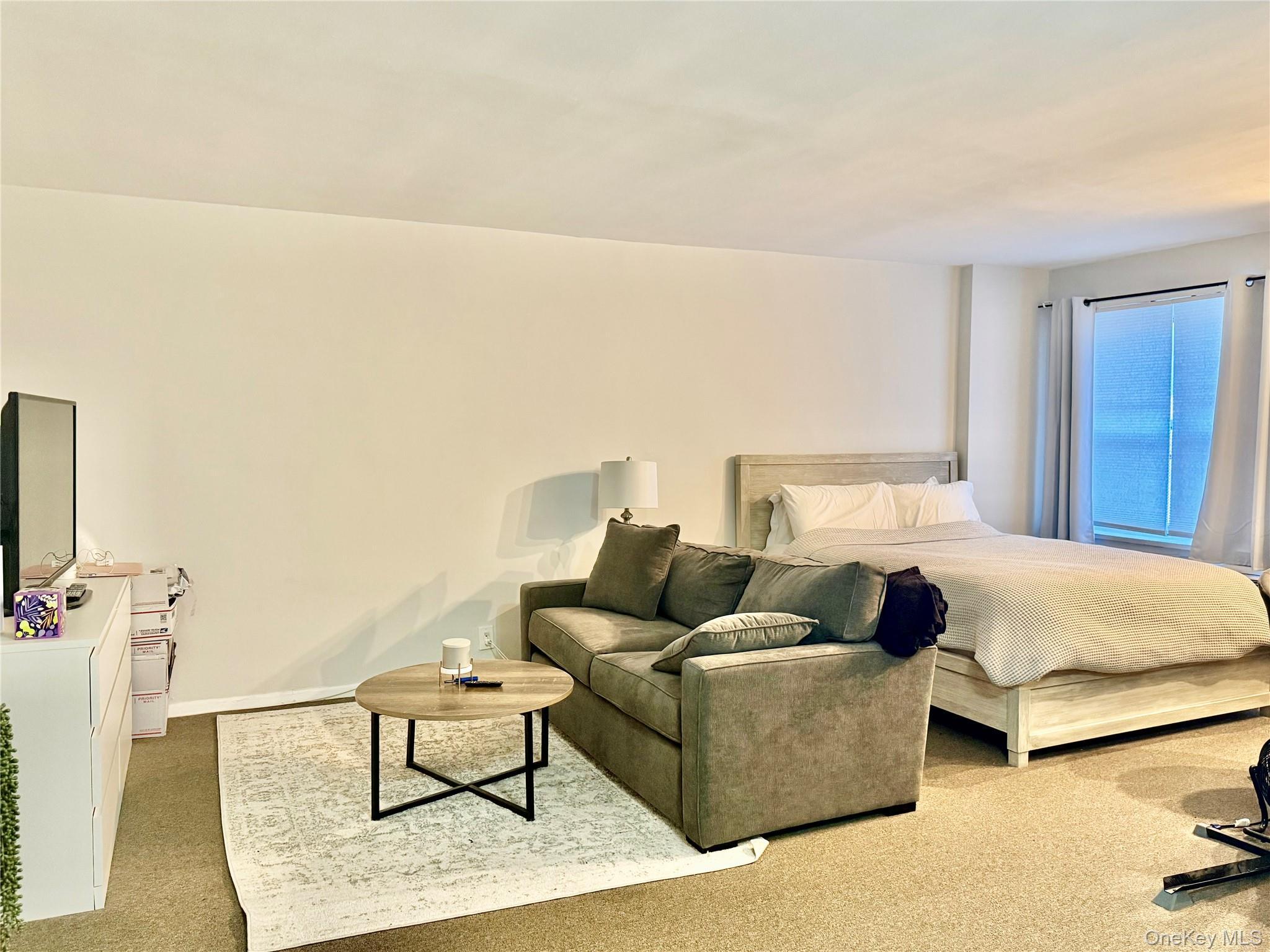 Coop Lincoln Nassau County, NY 11501, MLS-976001-7