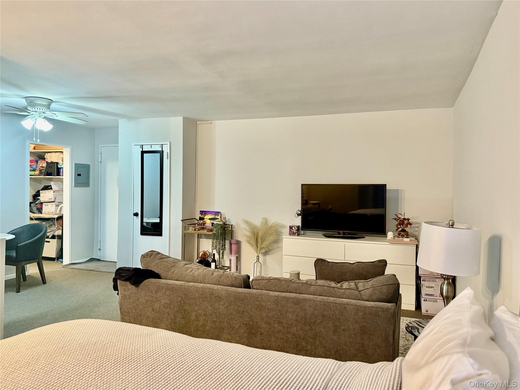 Coop Lincoln Nassau County, NY 11501, MLS-976001-9