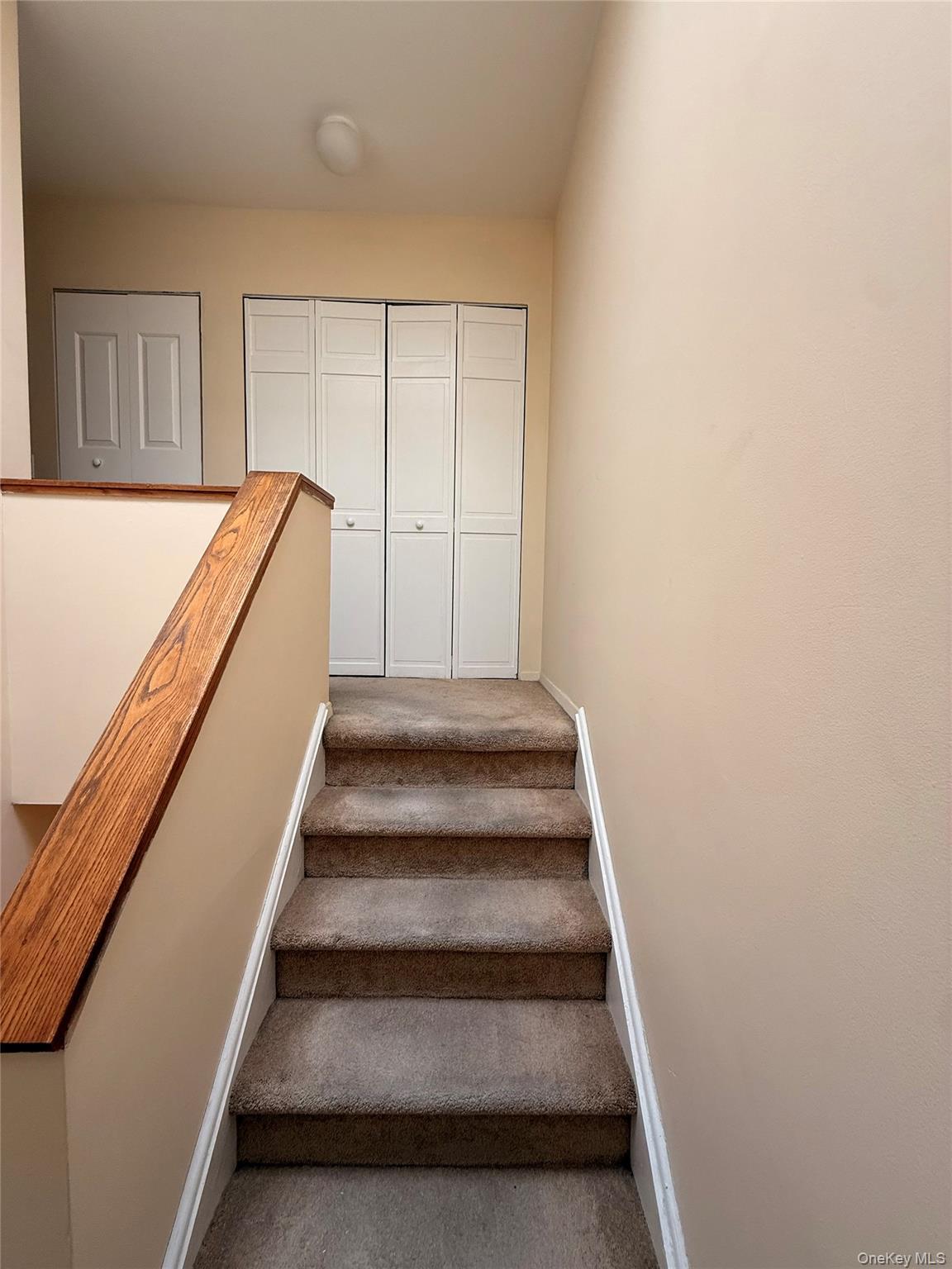 Condo Highland Ave Queens, NY 11432, MLS-976014-8