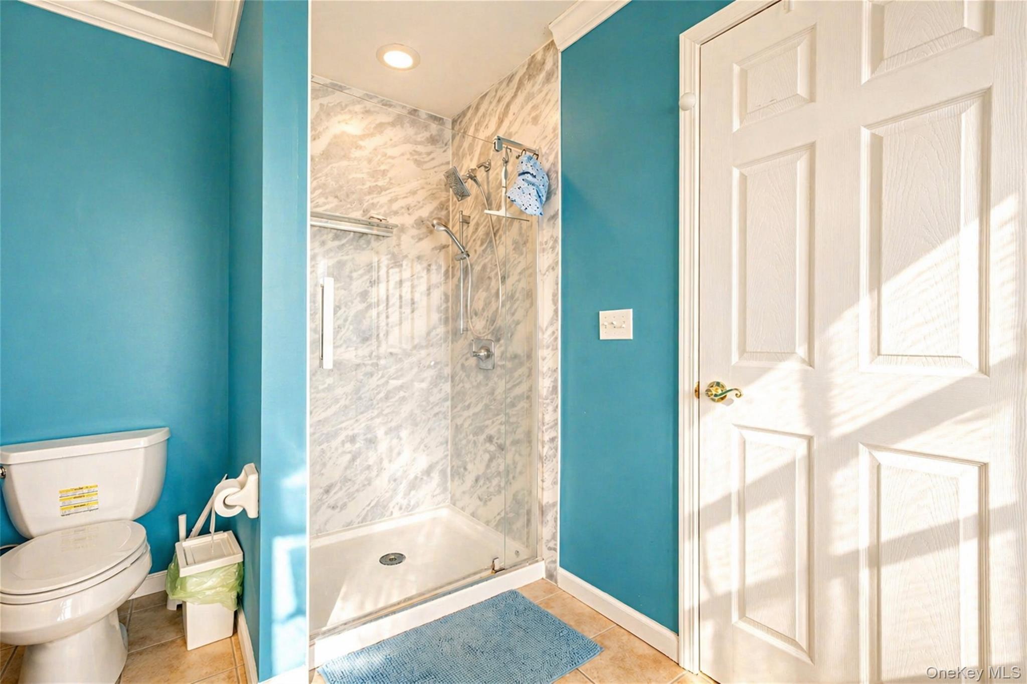 Single Family Maidstone  Orange County, NY 10950, MLS-976026-21