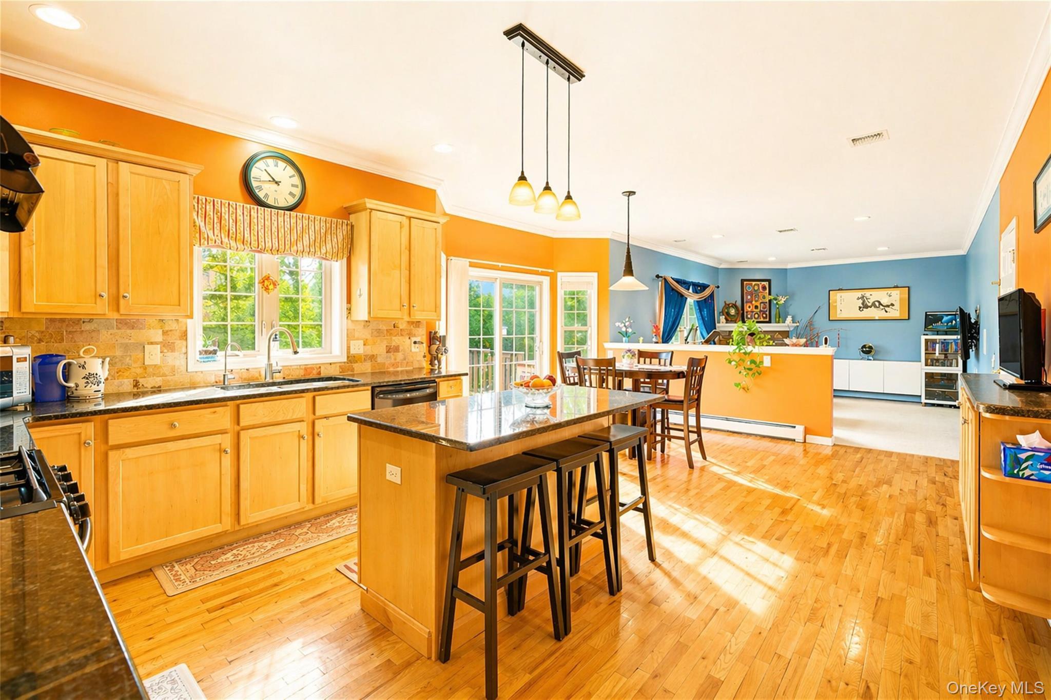 Single Family Maidstone  Orange County, NY 10950, MLS-976026-6