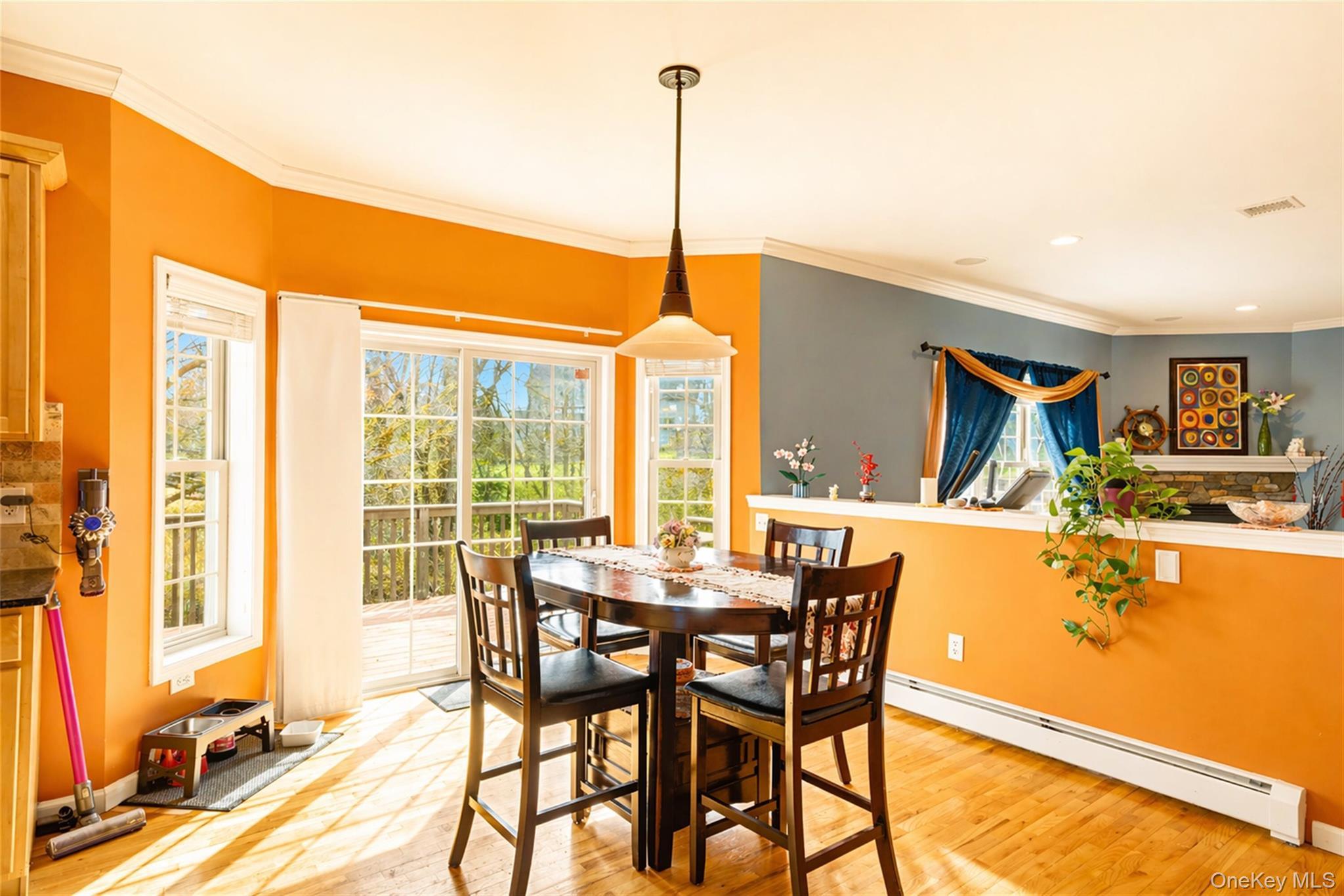 Single Family Maidstone  Orange County, NY 10950, MLS-976026-9