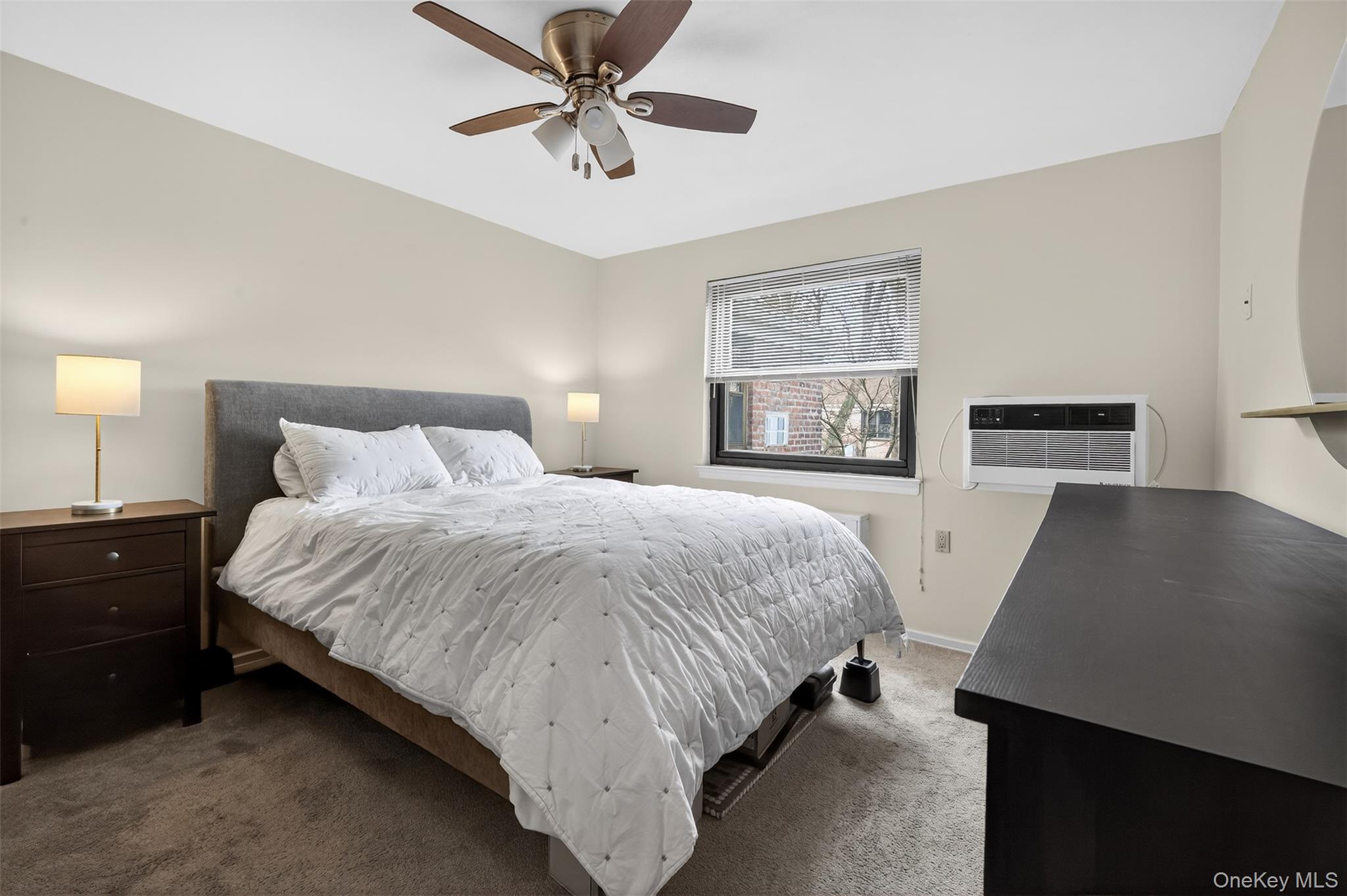 Coop Mill Nassau County, NY 11021, MLS-976048-11