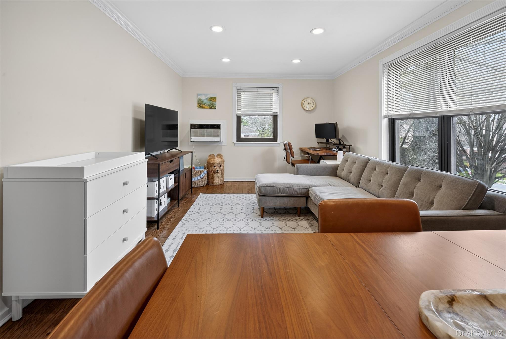 Coop Mill Nassau County, NY 11021, MLS-976048-7