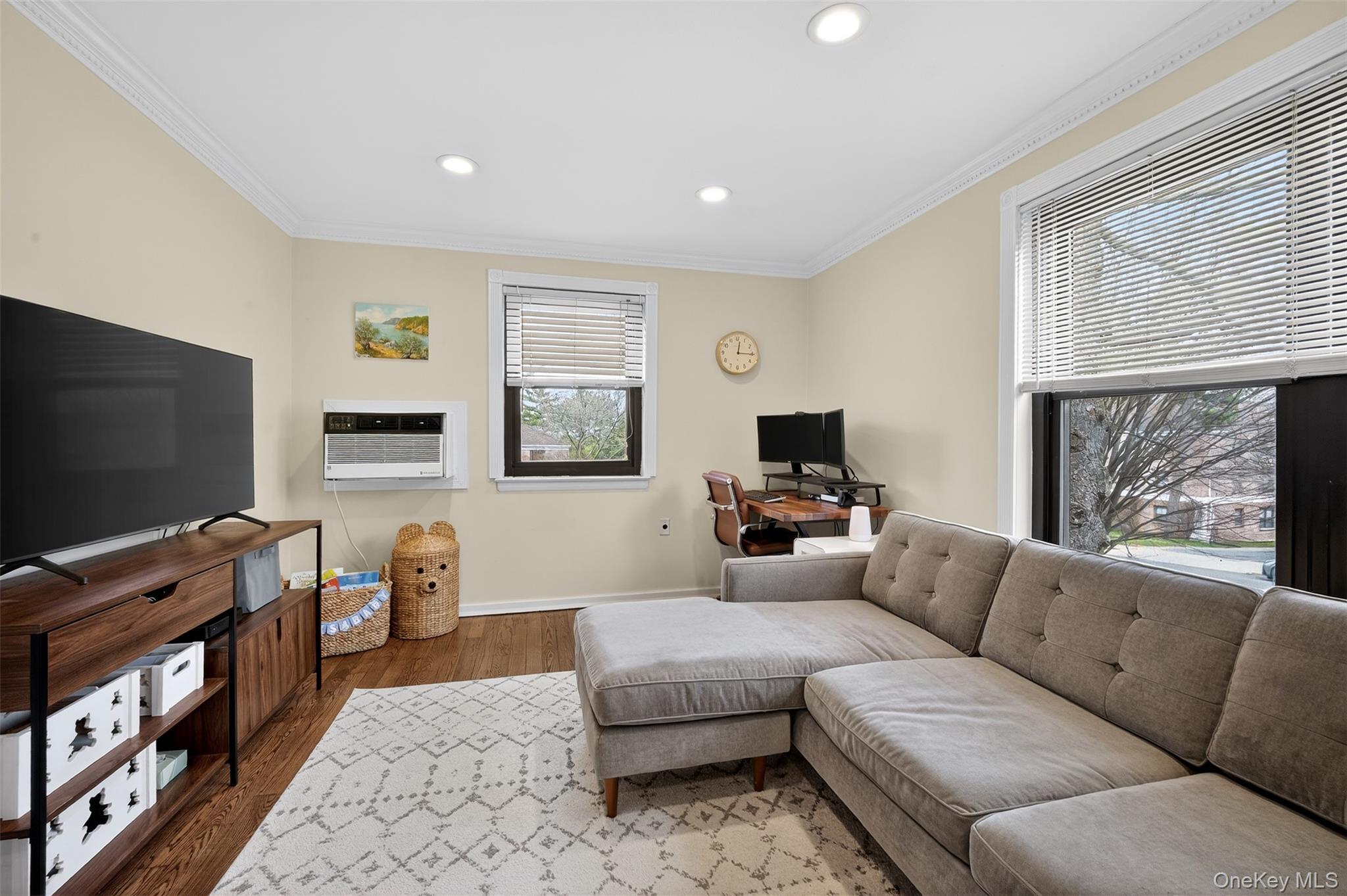 Coop Mill Nassau County, NY 11021, MLS-976048-8