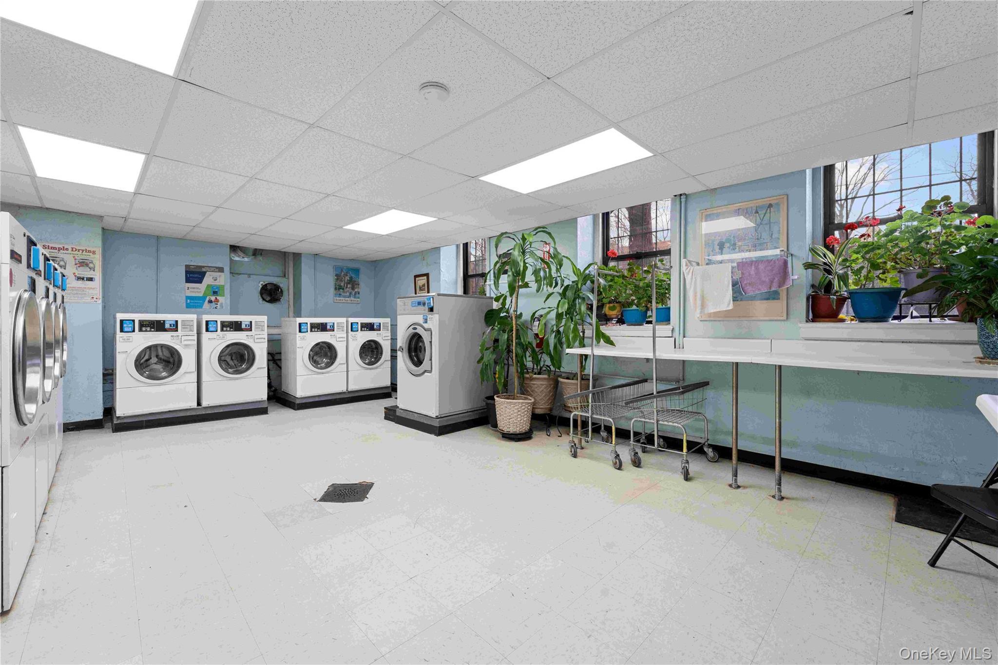 Coop Austin Queens, NY 11375, MLS-976089-16