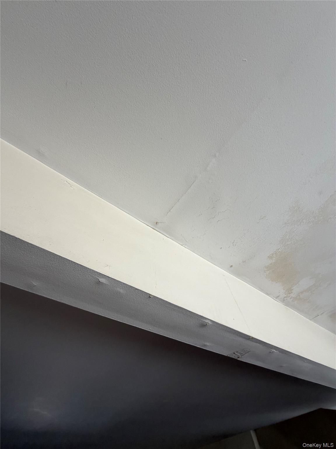 Single Family Grant Westchester County, NY 10604, MLS-976091-6