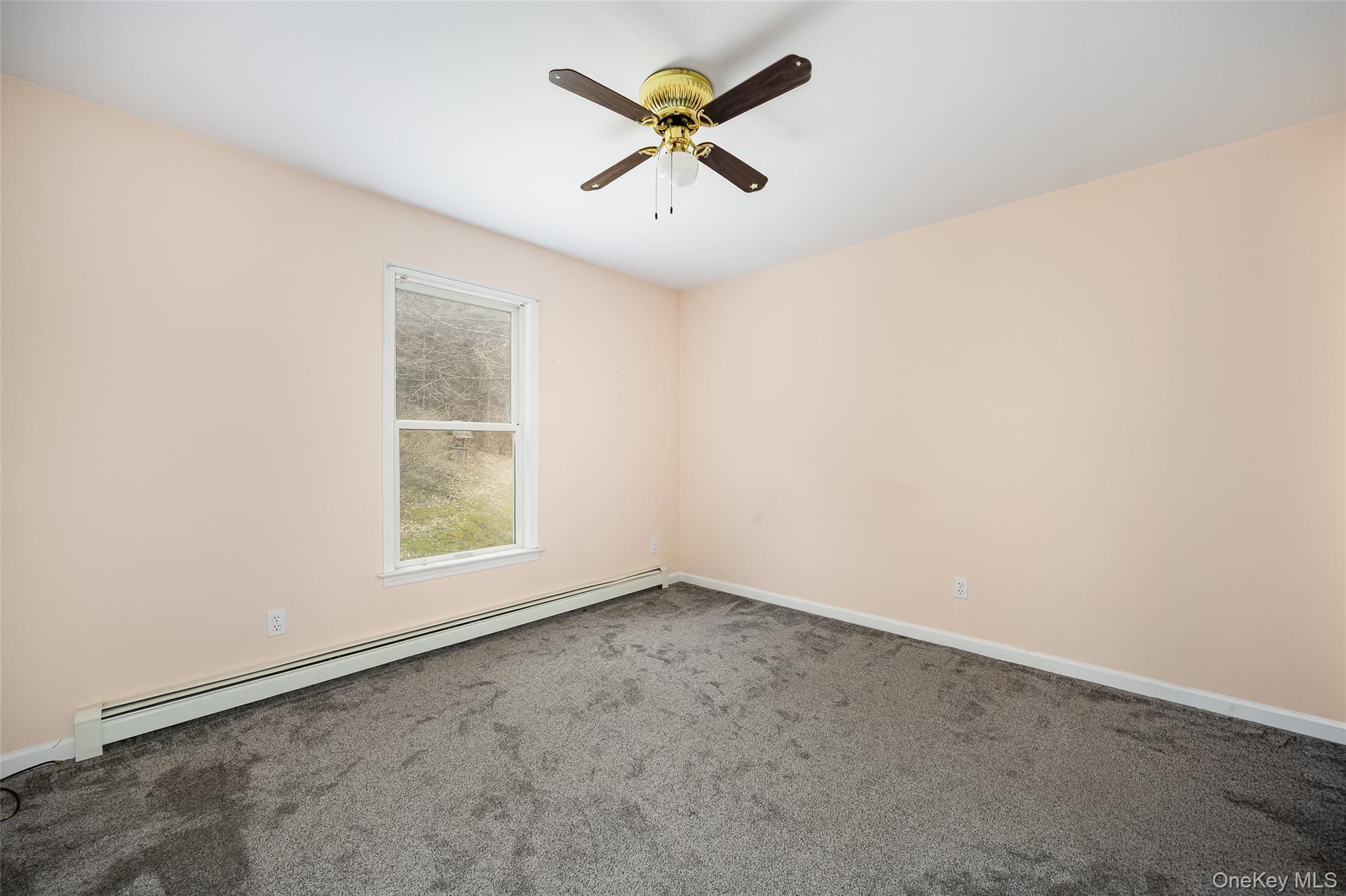 Single Family Old State Route 22  Dutchess County, NY 12522, MLS-976115-20