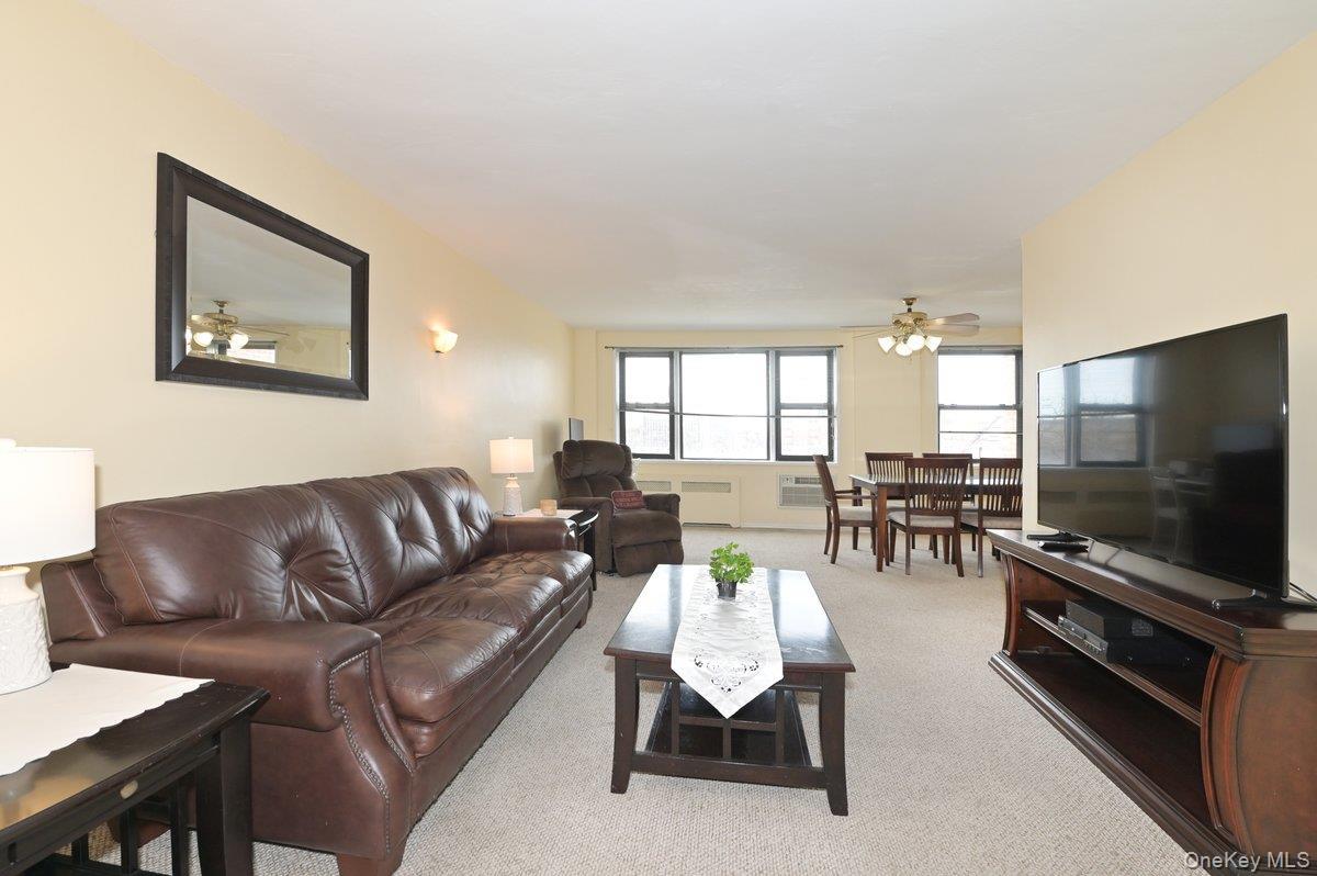 Coop Birchwood  Nassau County, NY 11501, MLS-976123-4