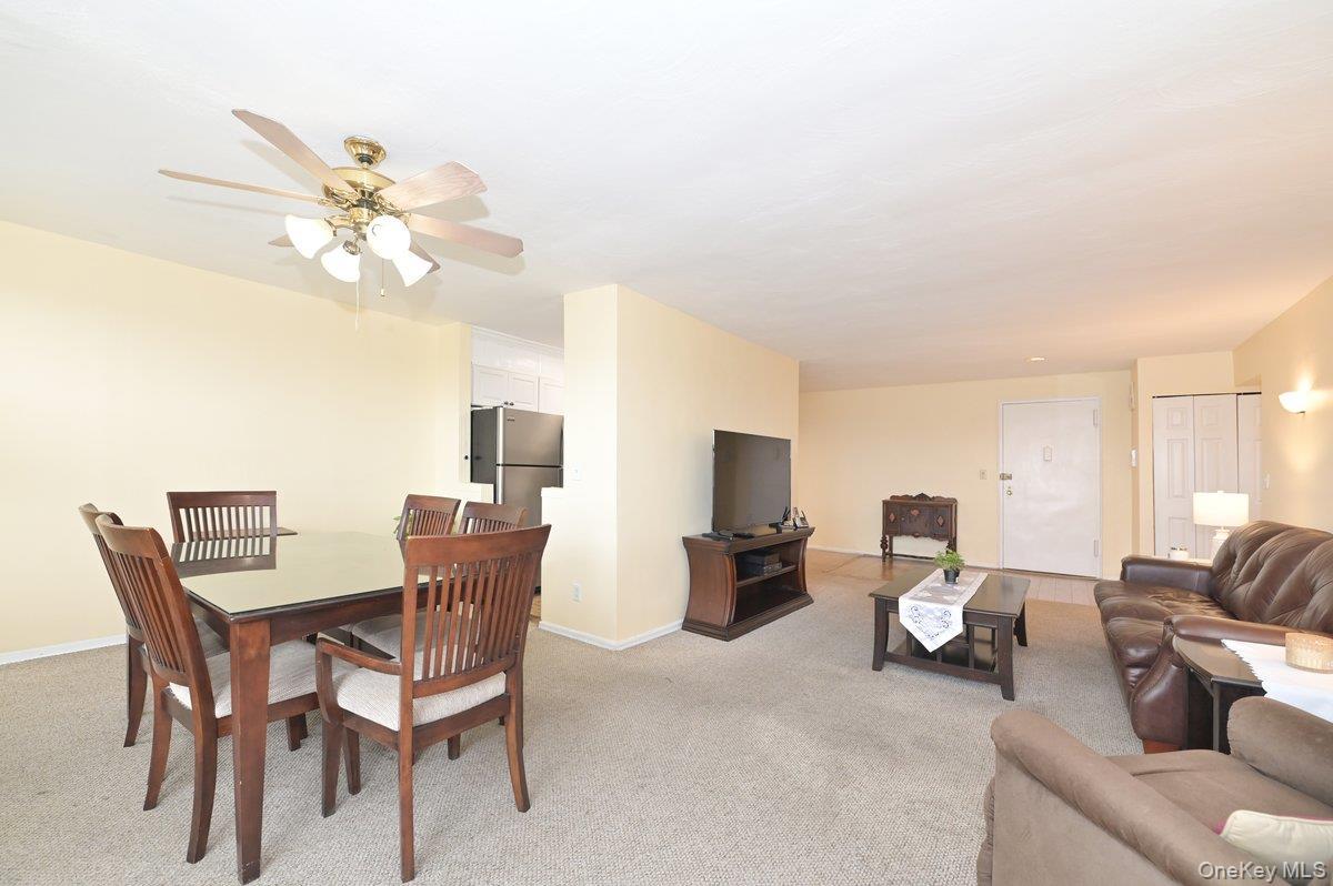 Coop Birchwood  Nassau County, NY 11501, MLS-976123-5