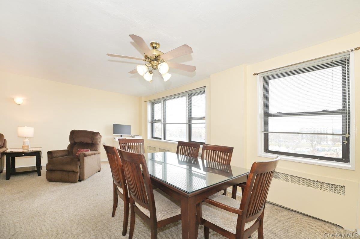 Coop Birchwood  Nassau County, NY 11501, MLS-976123-6