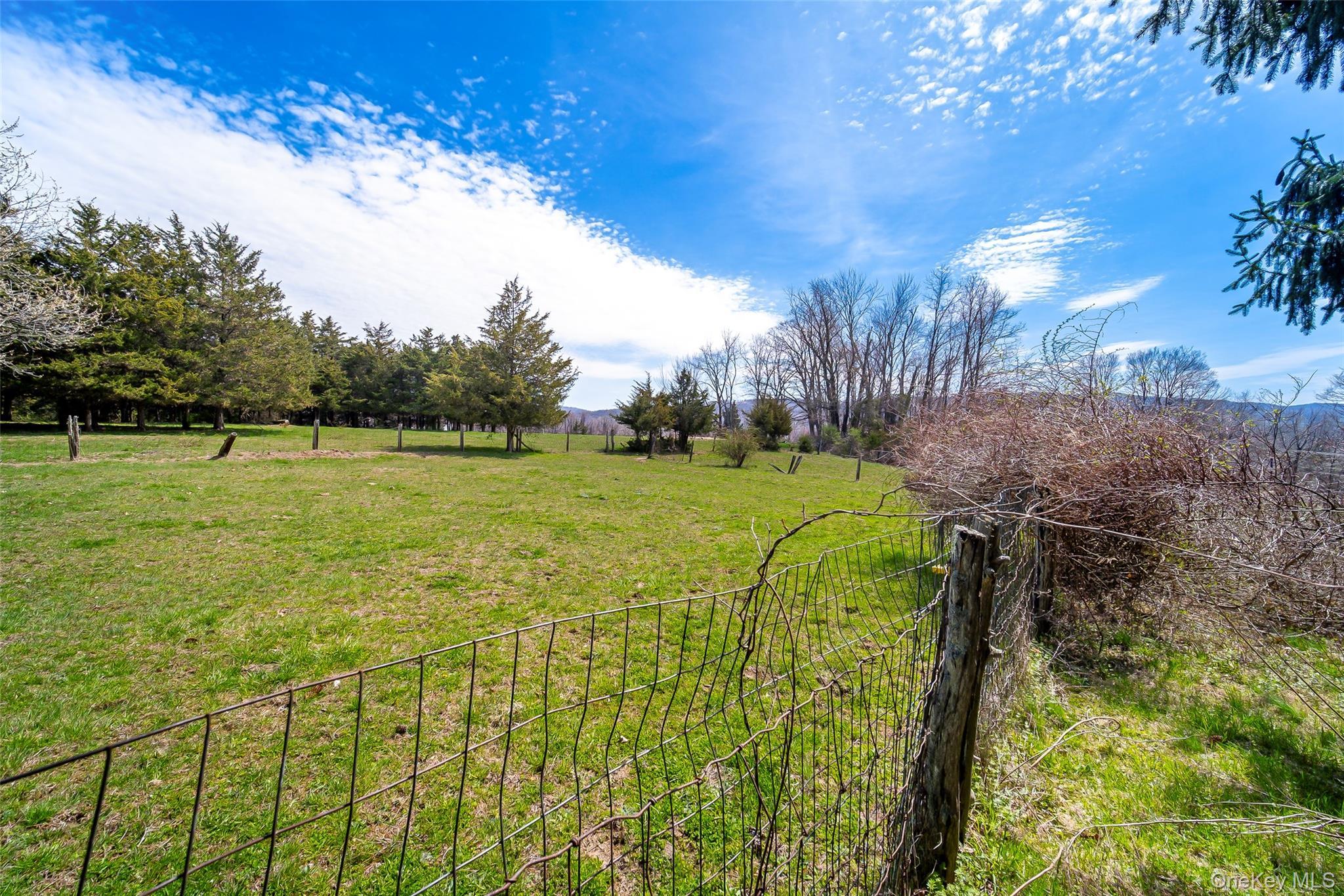 Single Family Shenandoah  Dutchess County, NY 12533, MLS-976139-33