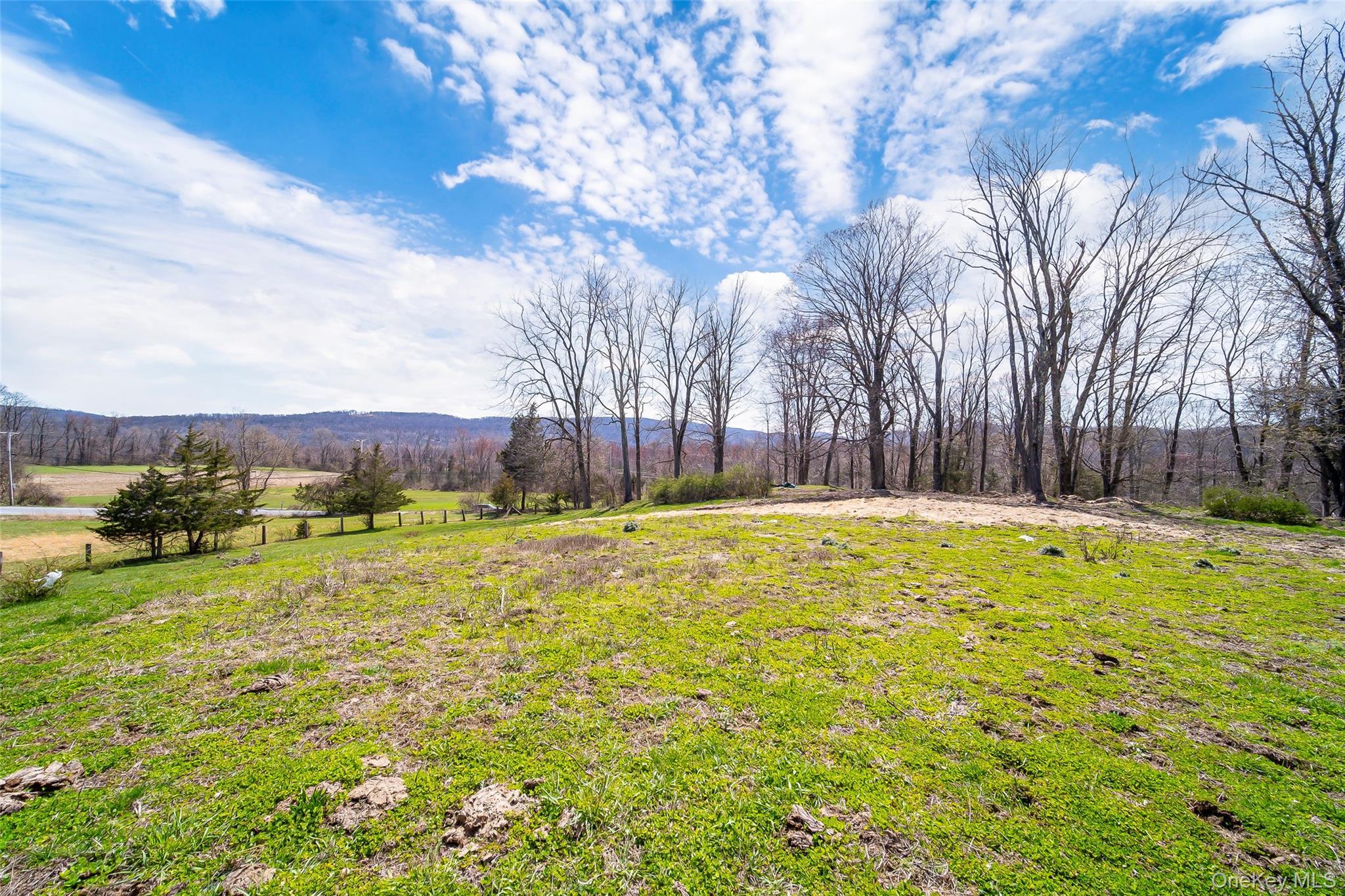 Single Family Shenandoah  Dutchess County, NY 12533, MLS-976139-36