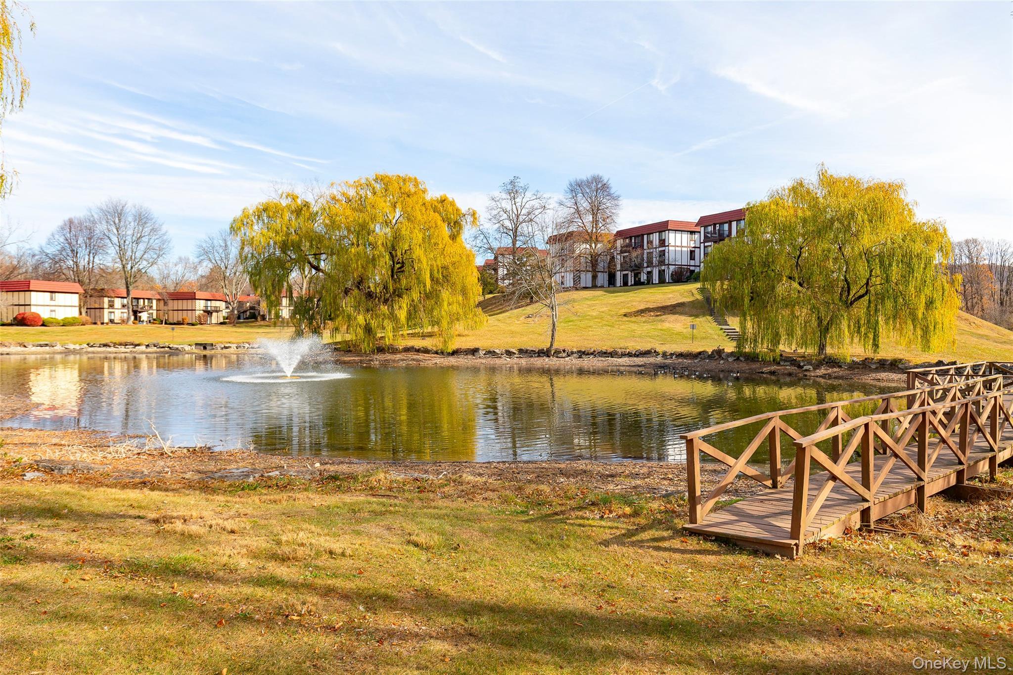 Condo Skyline  Dutchess County, NY 12524, MLS-976166-19