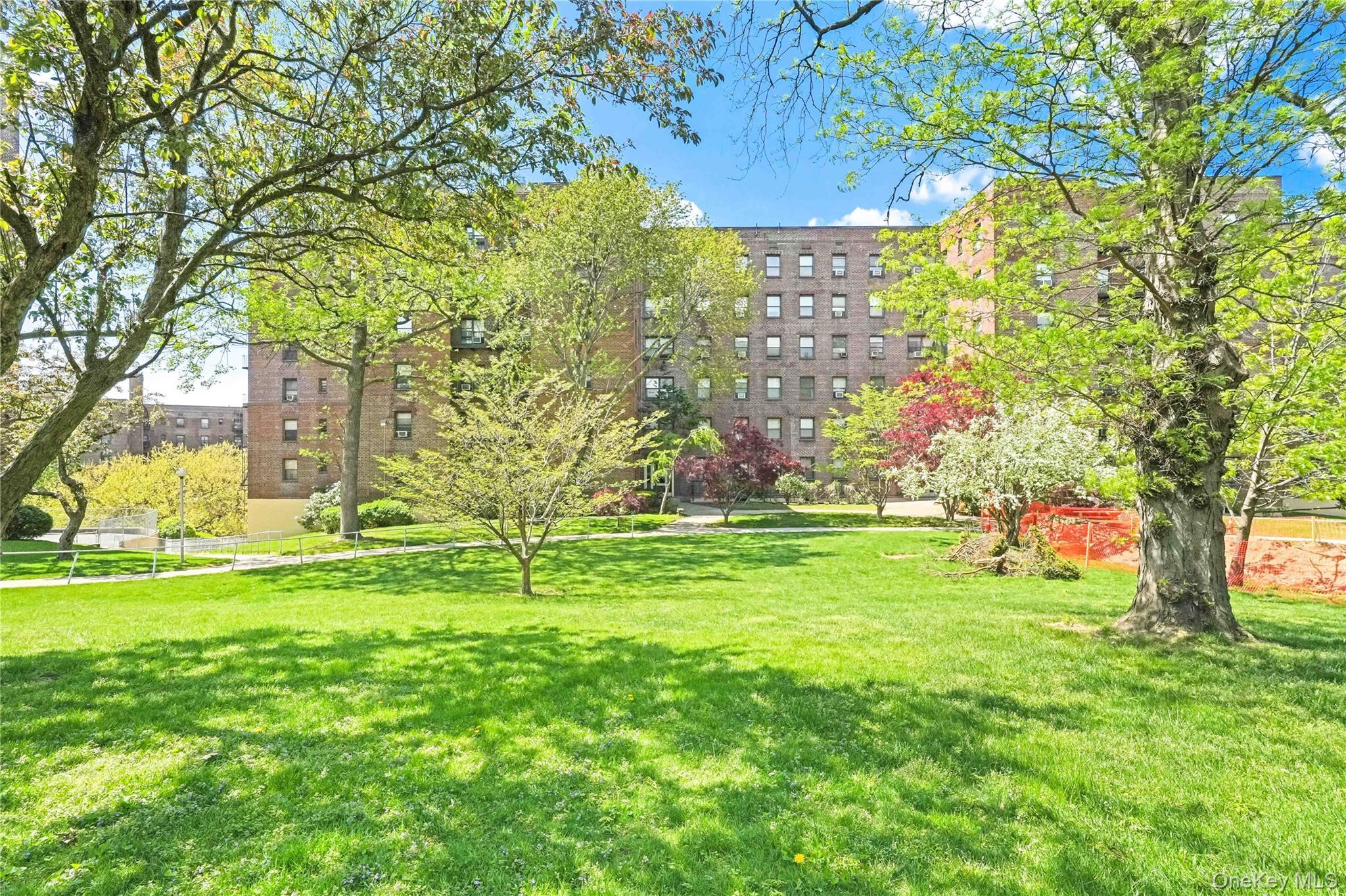 Coop Union  Queens, NY 11354, MLS-976175-11