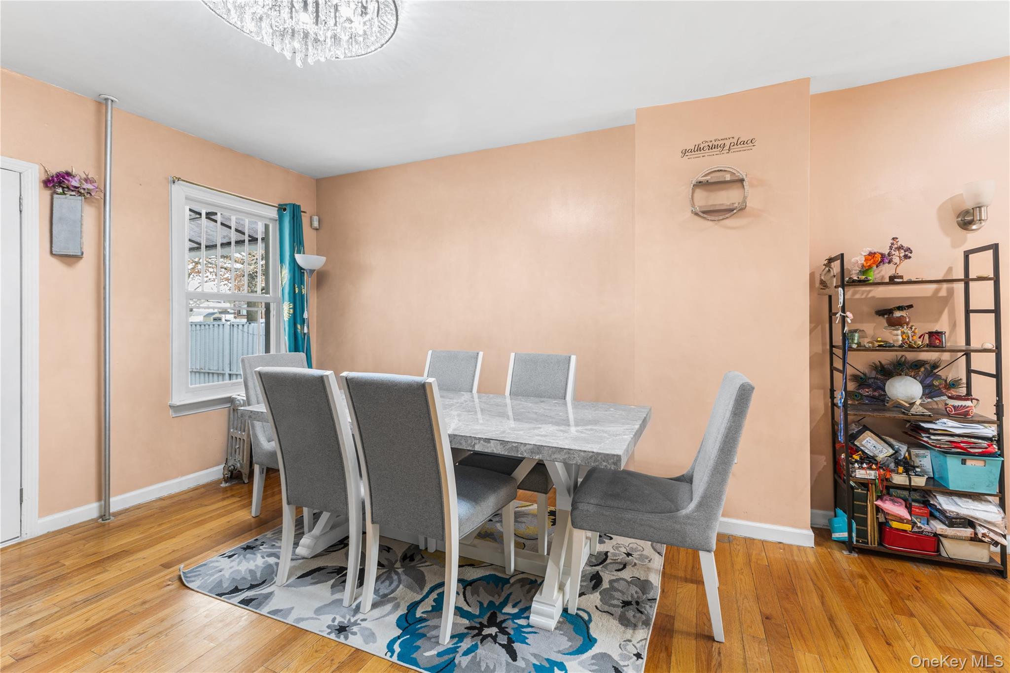 Single Family 145th  Queens, NY 11436, MLS-976178-10