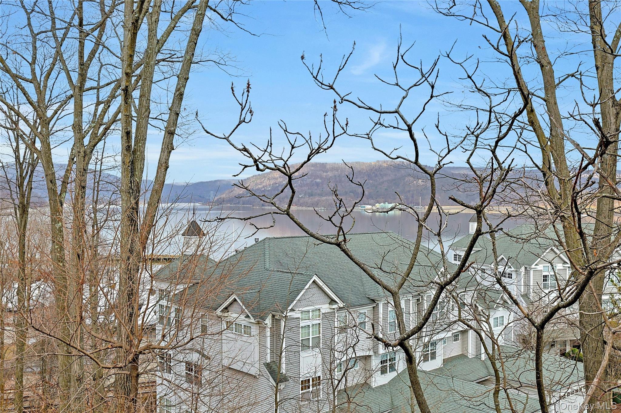 Condo Viewpoint  Westchester County, NY 10566, MLS-976201-27