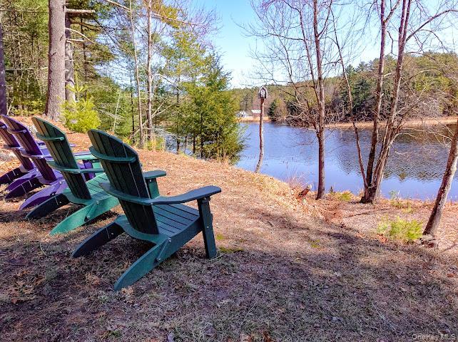 Single Family Beaver Brook  Sullivan County, NY 12792, MLS-976214-29