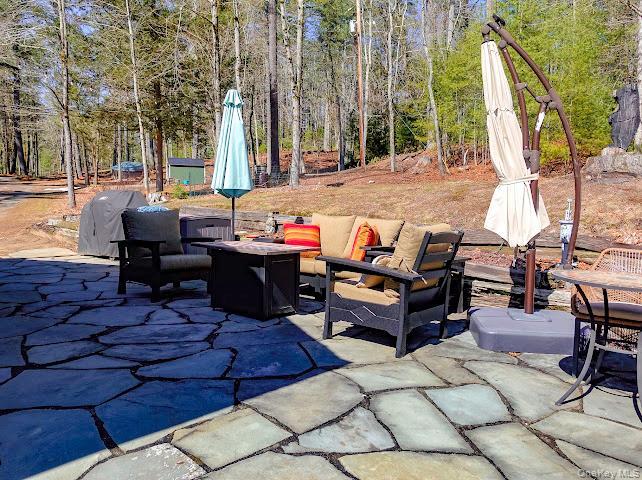 Single Family Beaver Brook  Sullivan County, NY 12792, MLS-976214-30