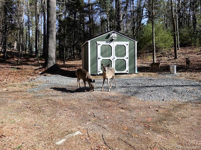 Single Family Beaver Brook  Sullivan County, NY 12792, MLS-976214-31