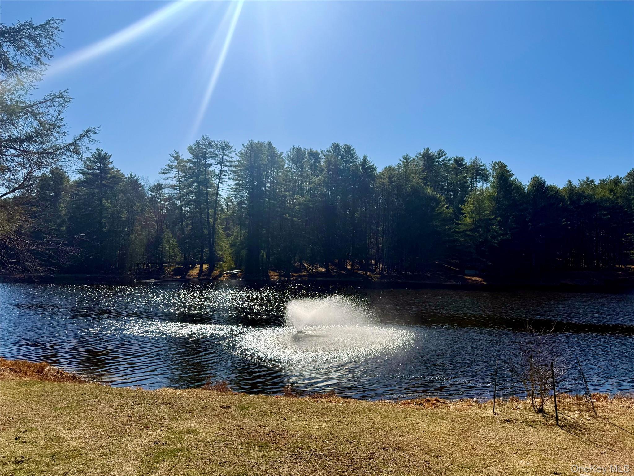 Single Family Beaver Brook  Sullivan County, NY 12792, MLS-976214-36