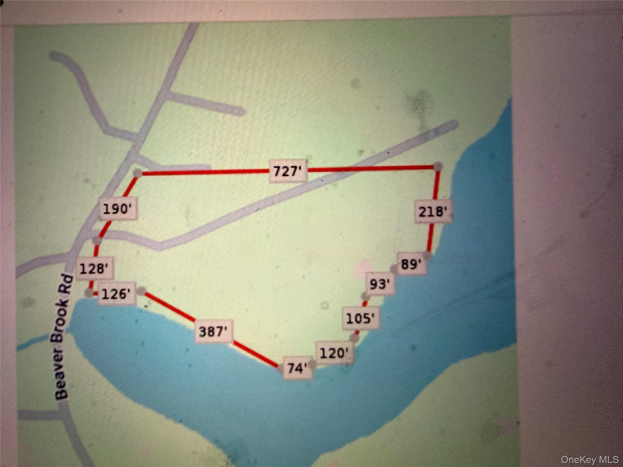 Single Family Beaver Brook  Sullivan County, NY 12792, MLS-976214-39