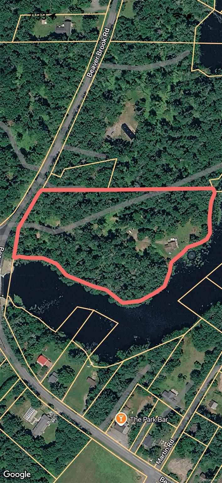 Single Family Beaver Brook  Sullivan County, NY 12792, MLS-976214-40