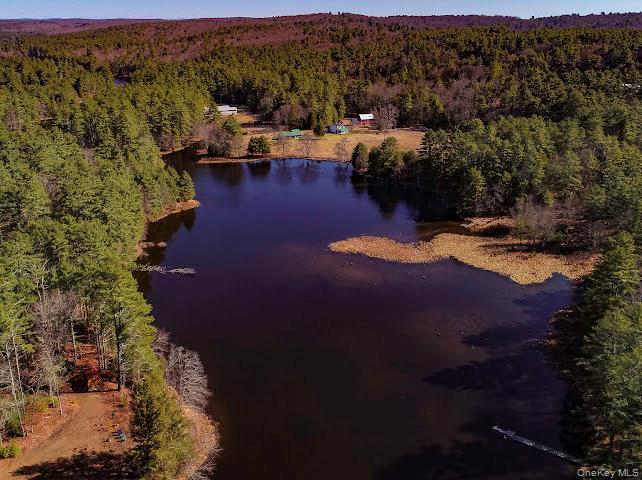 Single Family Beaver Brook  Sullivan County, NY 12792, MLS-976214-5