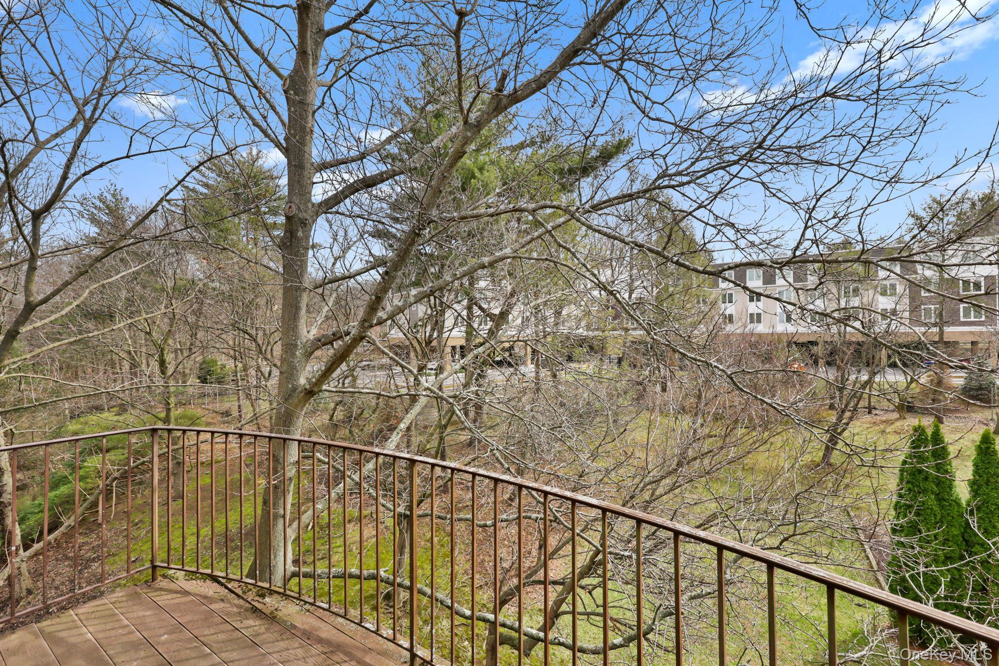 Condo Central Park  Westchester County, NY 10583, MLS-976220-28