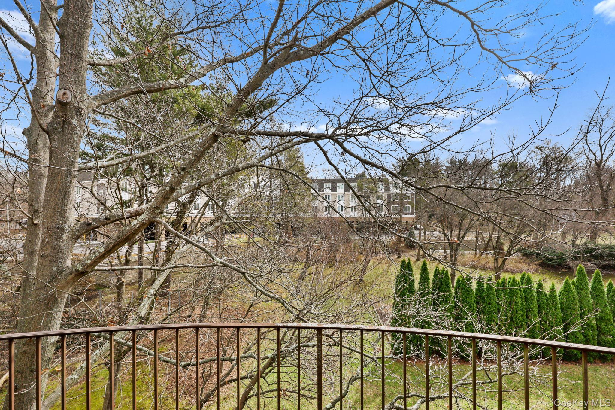 Condo Central Park  Westchester County, NY 10583, MLS-976220-29