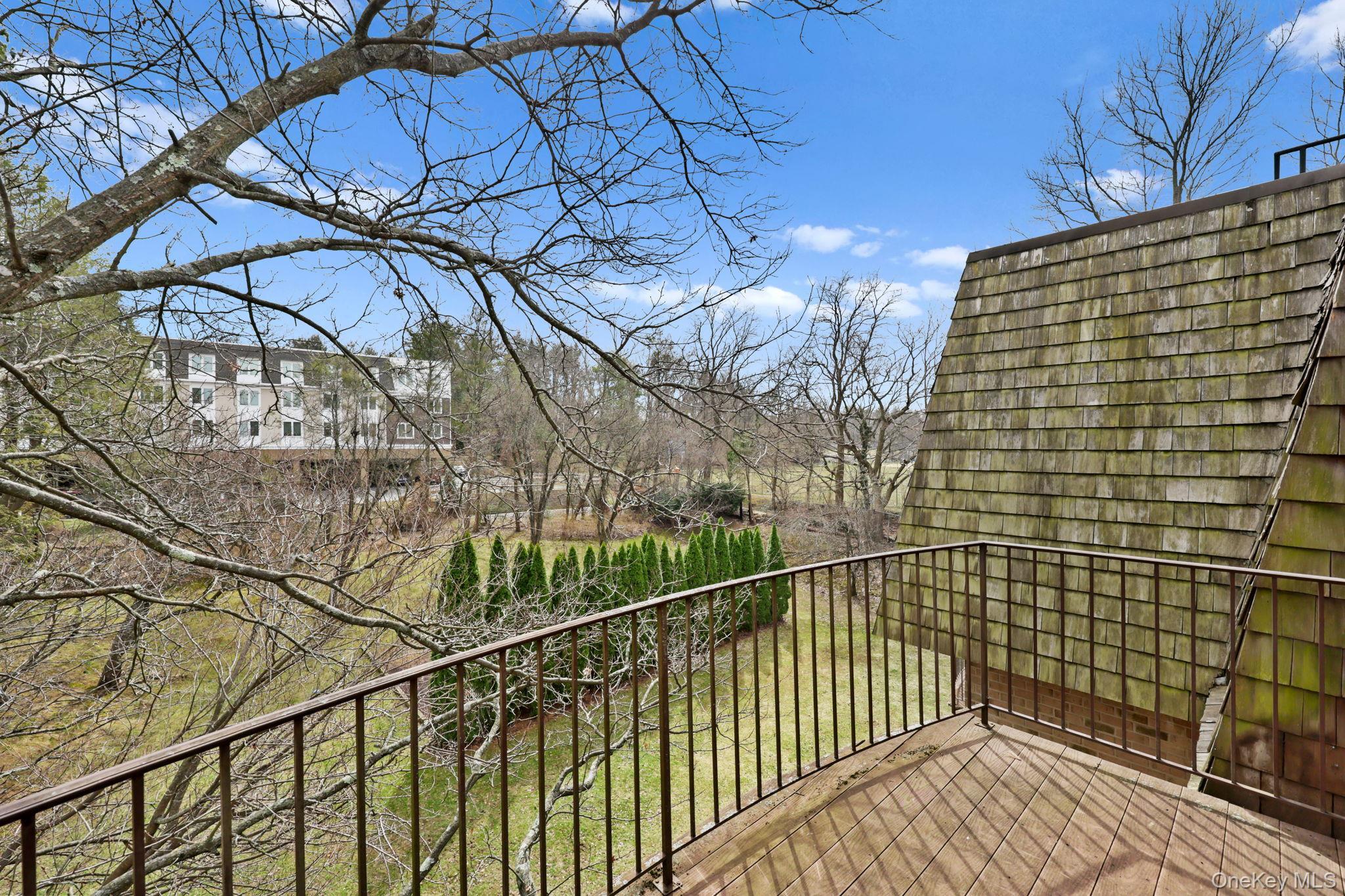 Condo Central Park  Westchester County, NY 10583, MLS-976220-30