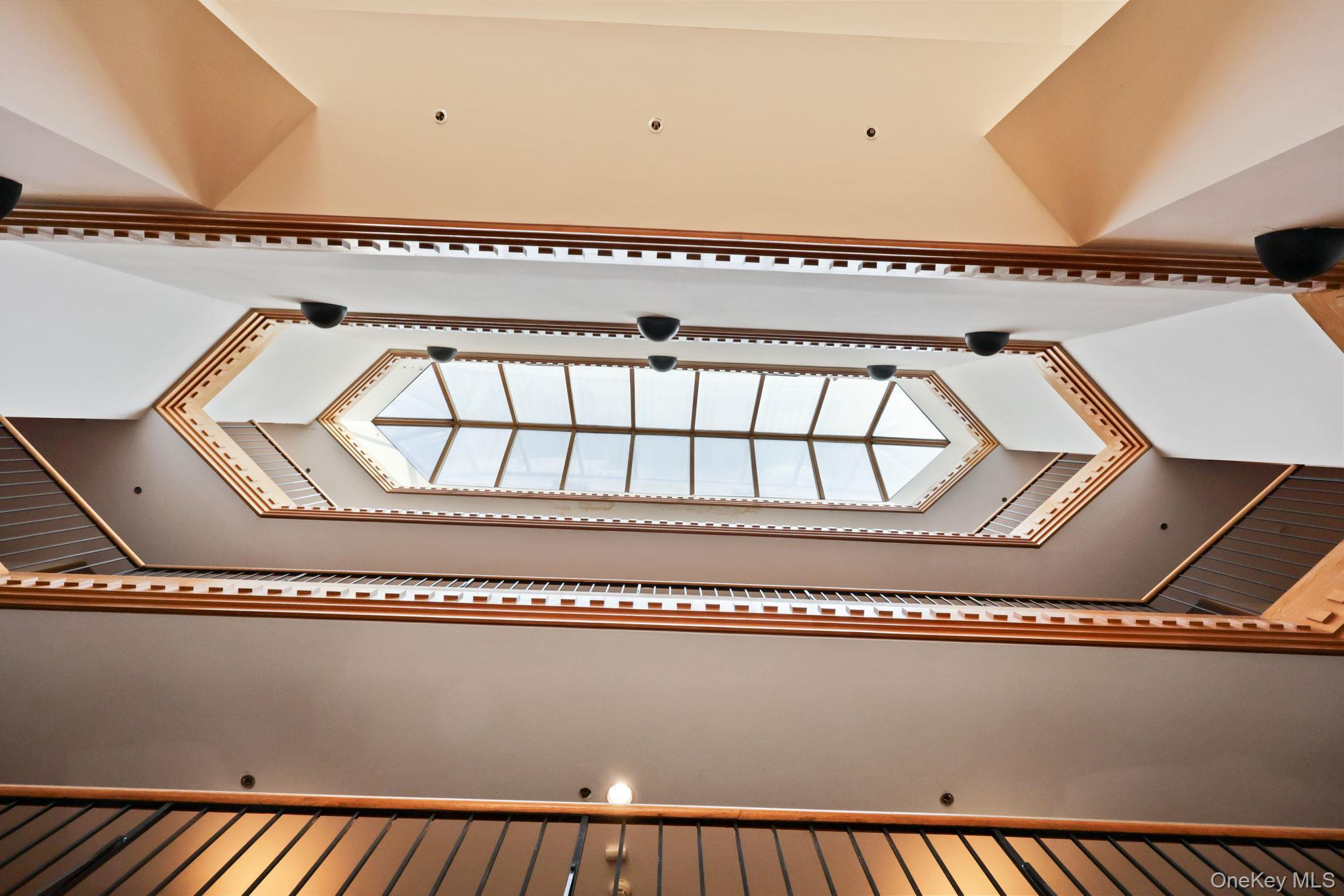 Condo Central Park  Westchester County, NY 10583, MLS-976220-38