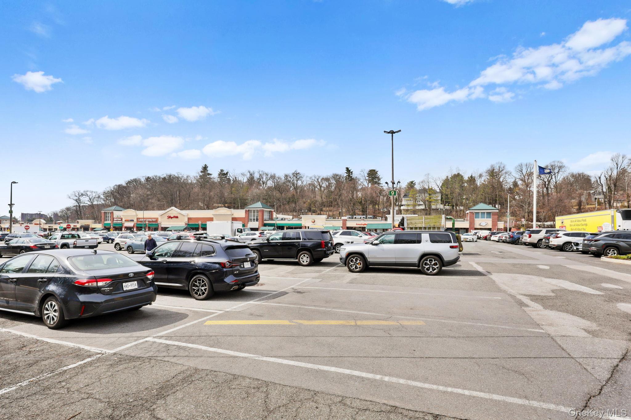 Condo Central Park  Westchester County, NY 10583, MLS-976220-45