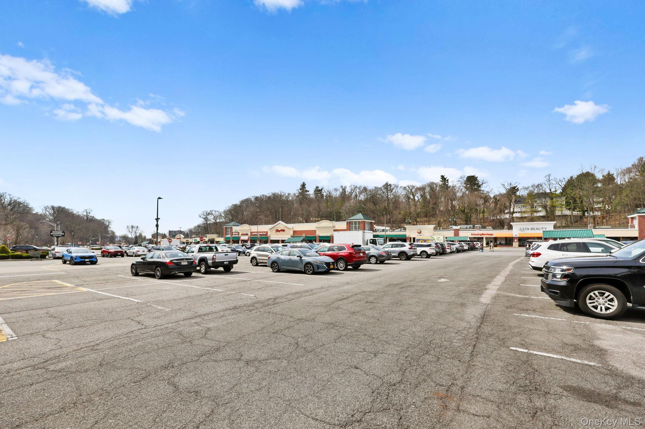 Condo Central Park  Westchester County, NY 10583, MLS-976220-46