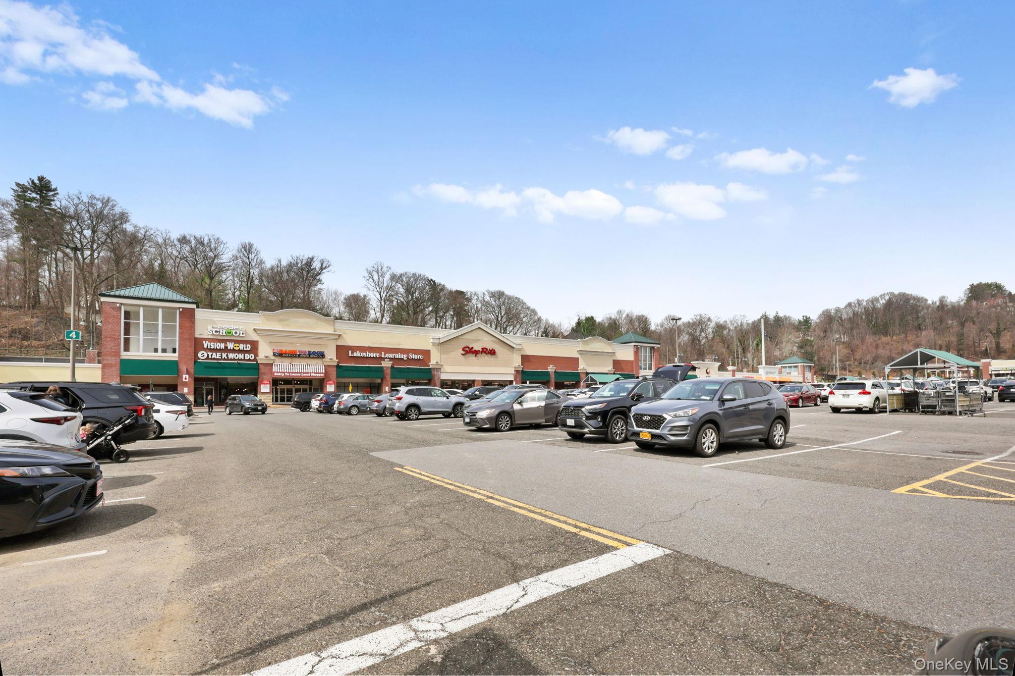 Condo Central Park  Westchester County, NY 10583, MLS-976220-47