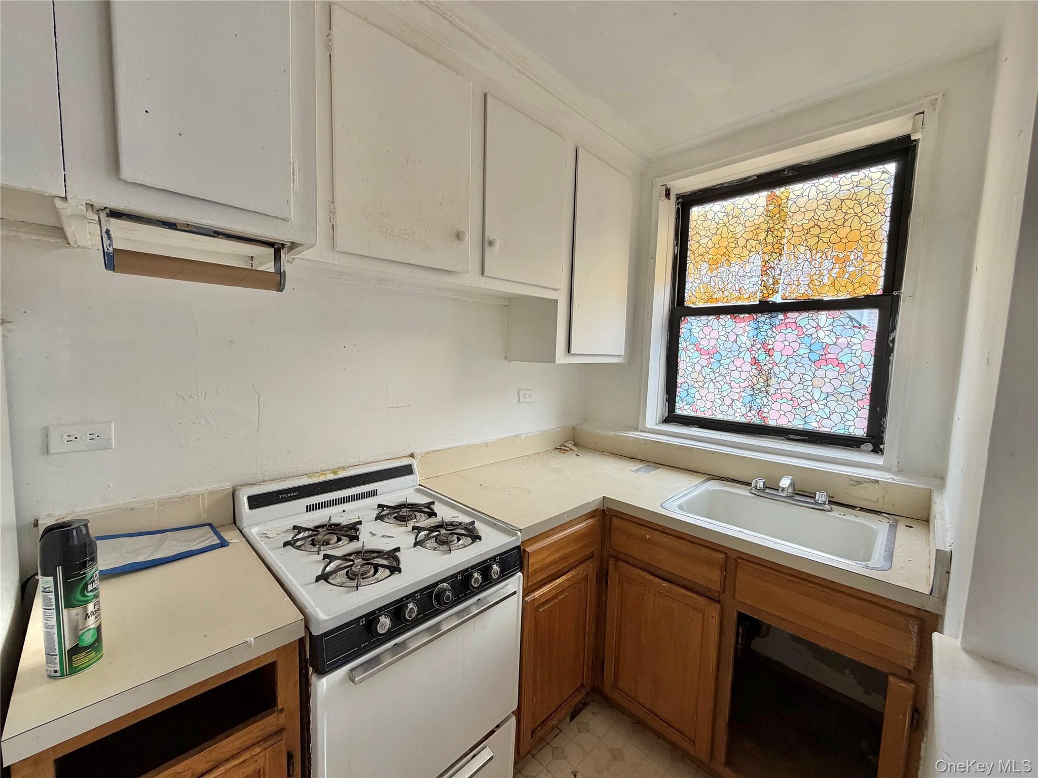 Coop Northern  Queens, NY 11354, MLS-976228-6