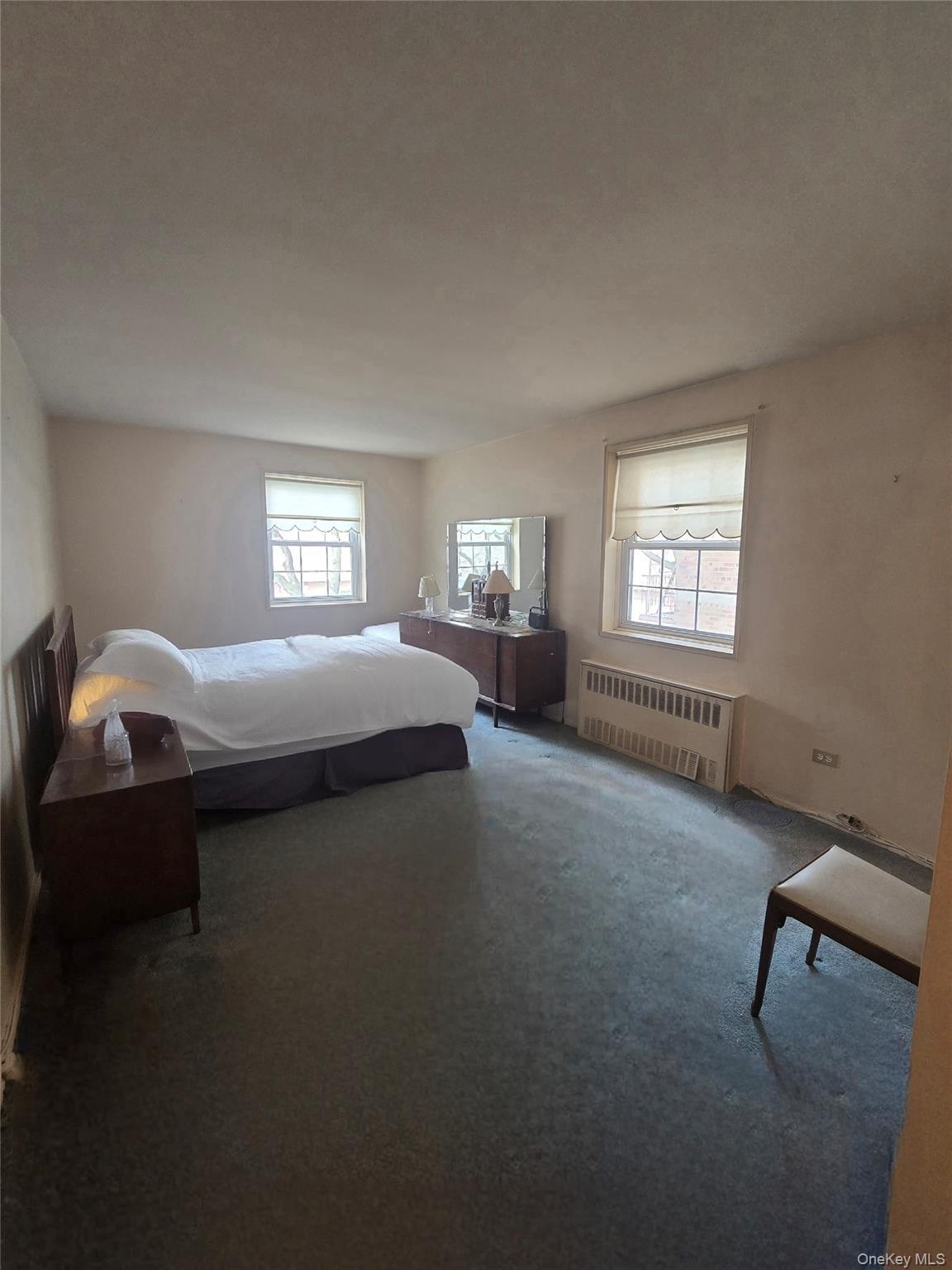 Condo 88th Queens, NY 11414, MLS-976256-13