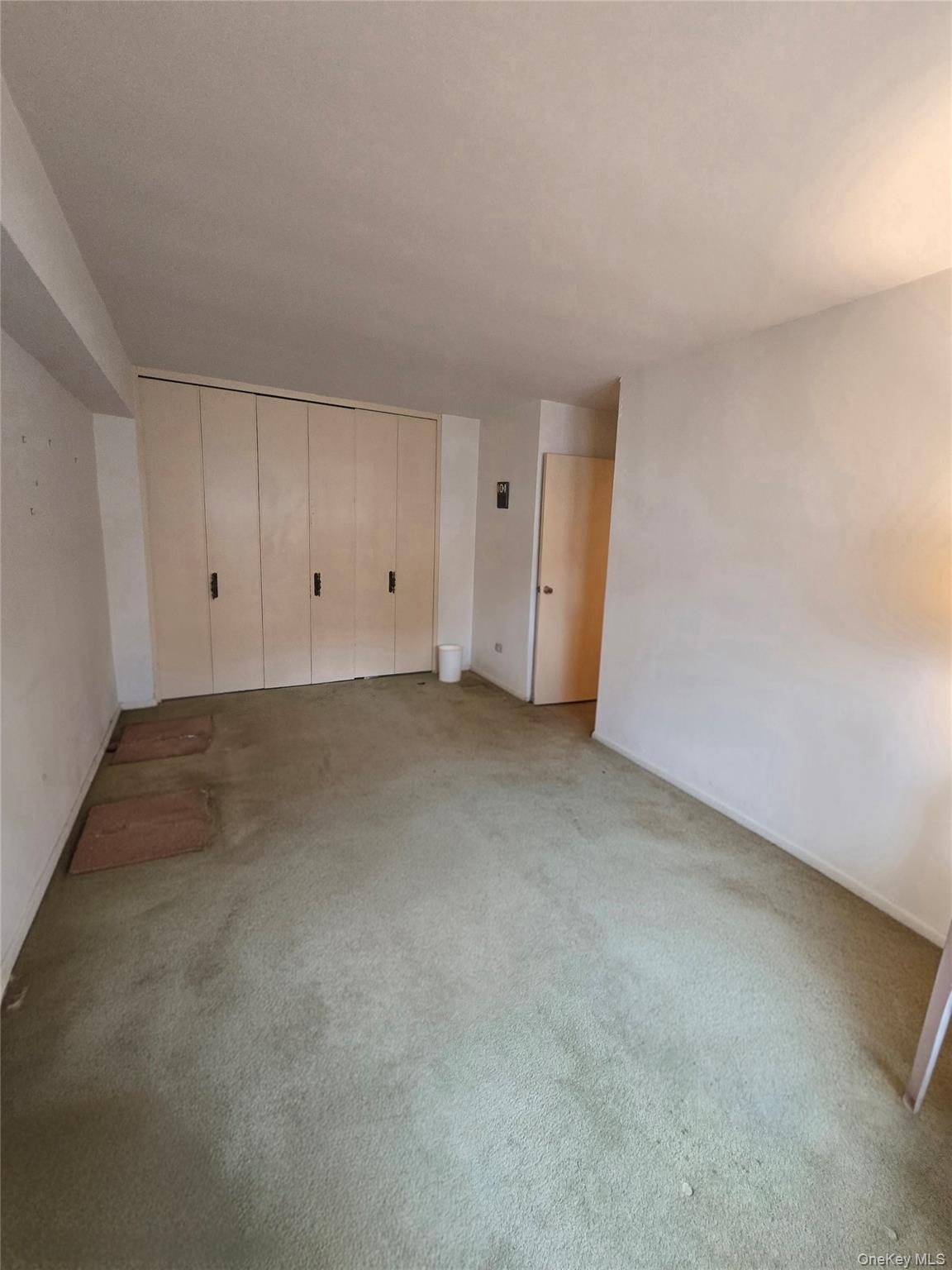 Condo 88th Queens, NY 11414, MLS-976256-15