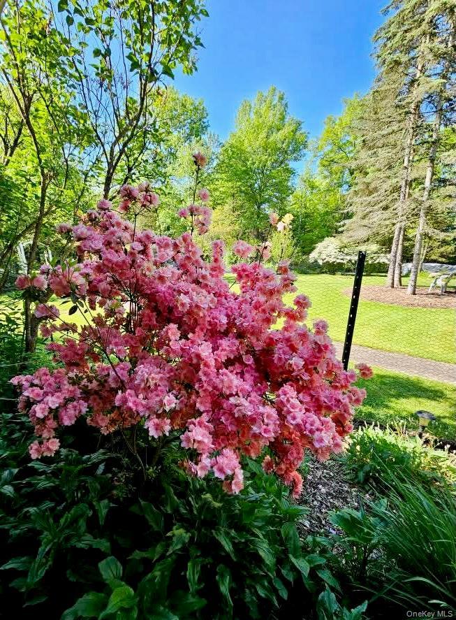 Single Family Unity Lane  Ulster County, NY 12561, MLS-976265-40