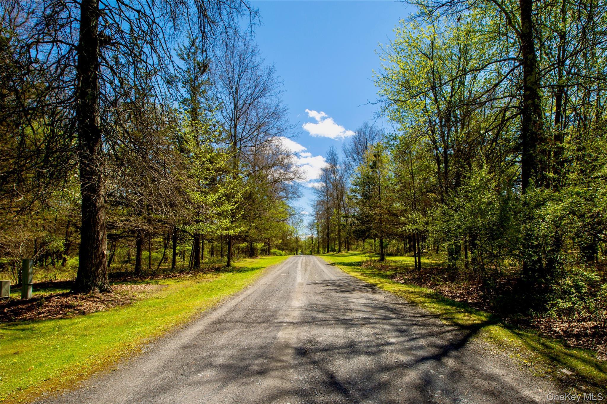 Single Family Unity Lane  Ulster County, NY 12561, MLS-976265-50