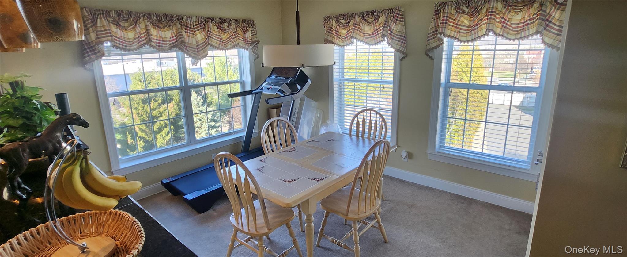 Condo Regency  Dutchess County, NY 12524, MLS-976313-10