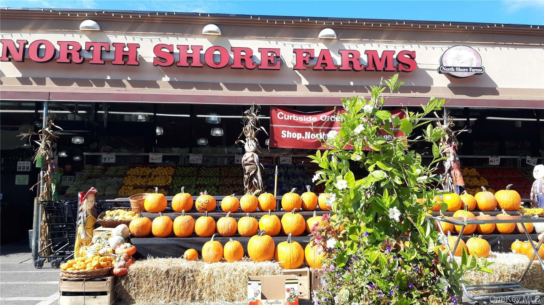 Coop 251st  Queens, NY 11362, MLS-976379-31