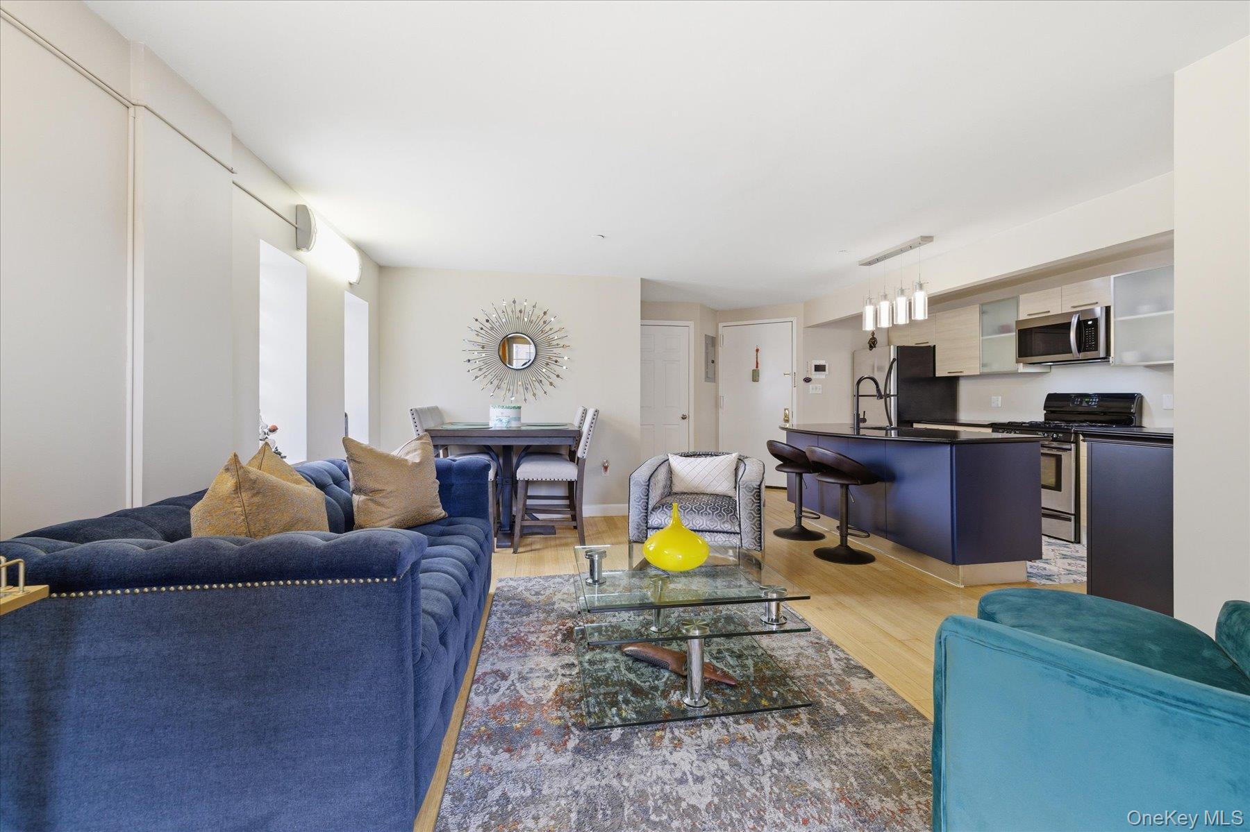 Condo 117th Queens, NY 11418, MLS-976399-2