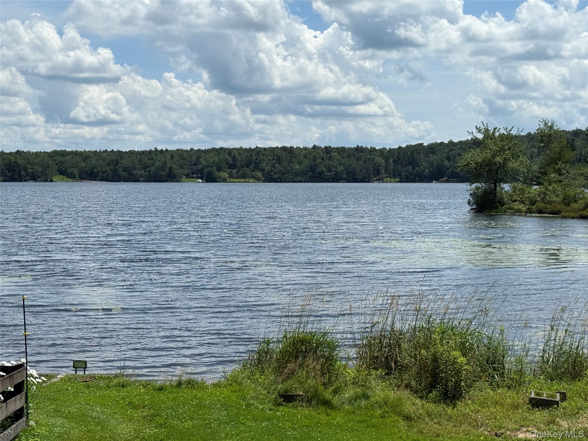 Single Family Lake  Sullivan County, NY 12768, MLS-976418-30