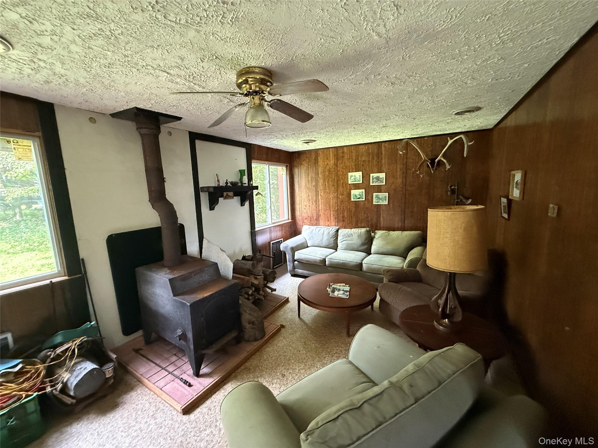 Single Family Lake  Sullivan County, NY 12768, MLS-976418-4