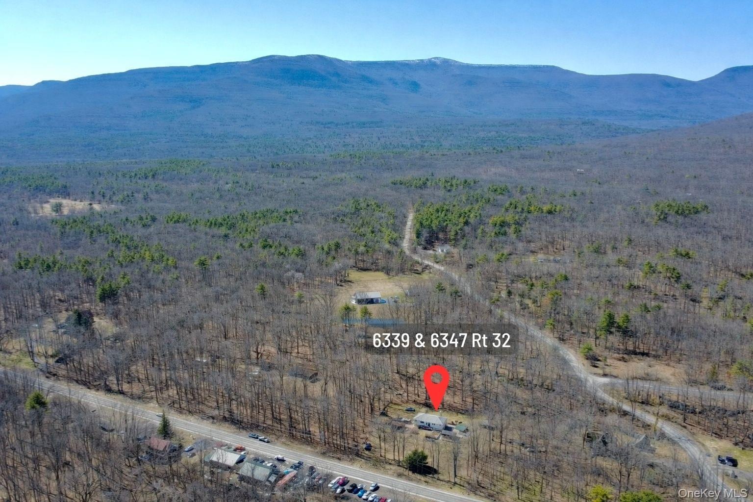 Single Family Route 32  Greene County, NY 12414, MLS-976422-3