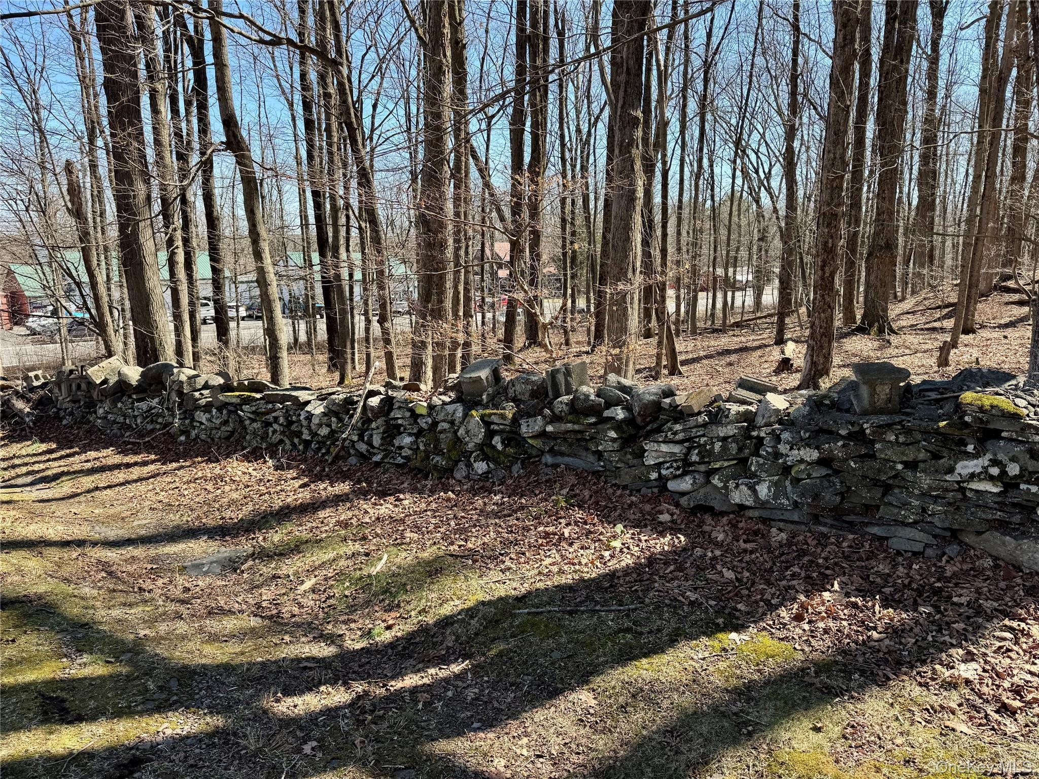 Single Family Route 32  Greene County, NY 12414, MLS-976422-30