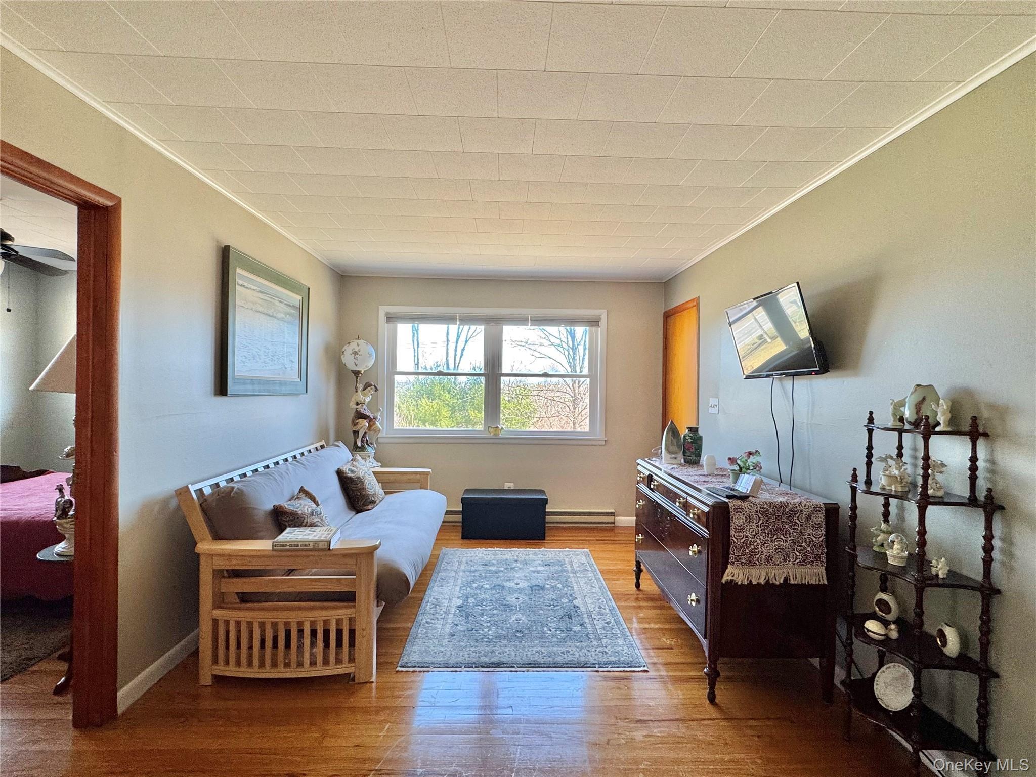 Single Family Route 32  Greene County, NY 12414, MLS-976422-9